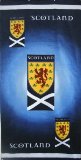 Scotland F.A. Beach Towel