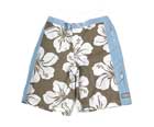 Hawaii Shorts