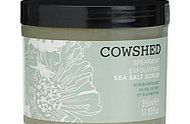 Body Scrubs Spearmint Exfoliating Sea