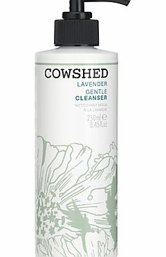 Lavender Gentle Cleanser, 250ml