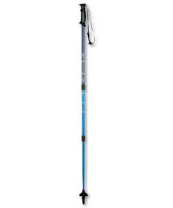 Hiker Walking Pole