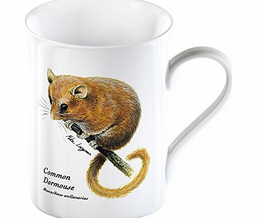 Creative Tops Wildlife Trusts Dormouse Fine Bone China Mug in Gift Box