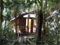 Daintree Wilderness Lodge, Cape Tribulation