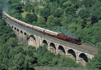 Day Excursion in the South East on the Orient-Express