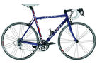 Team 2008 Road Bike