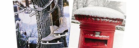 Debenhams Pack Of 30 Winter Photograph Charity Christmas Cards