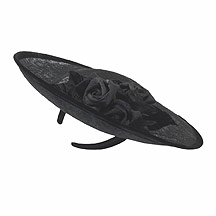 Black rose trim saucer hair band