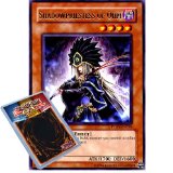 Deckboosters Yu-Gi-Oh : PTDN-EN024 1st Ed Shadowpriestess of Ohm Rare Card - ( Phantom Darkness YuGiOh Single Card )