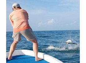 Deep Sea Sport Fishing in Acapulco - Private