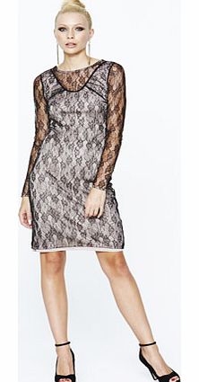 Fine Lace Bodycon Dress