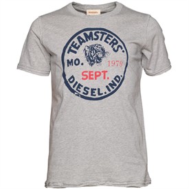 Mens Temigox T-Shirt Grey