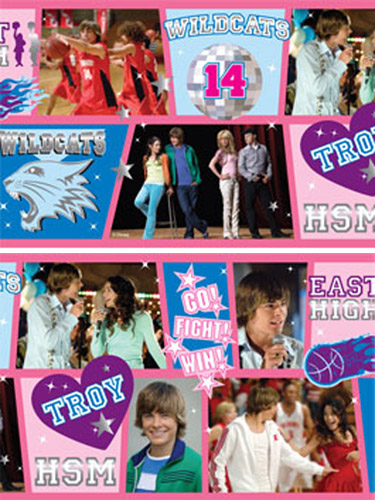 Disney High School Musical Self Adhesive Wallpaper Border 5M