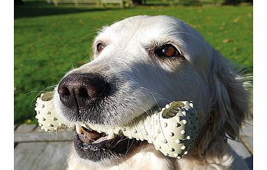 Bone Toothbrush