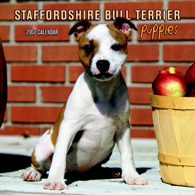 Dogs Staffordshire Bull Terrier - Puppies 2006 Calendar