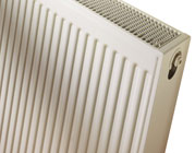 Dolphin 1000mm Quinn Compact Radiator