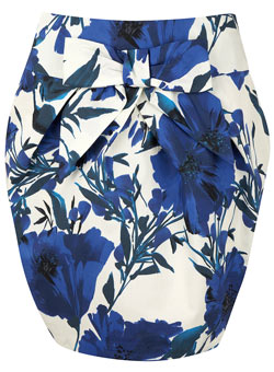 Dorothy Perkins Blue and white tulip skirt