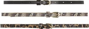 Dorothy Perkins, 1134[^]262015000713283 Womens 3PP Animal Print Belt Pack- Multi Colour