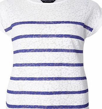 Dorothy Perkins Womens Cobalt Stripe Burnout Tee- Cobalt