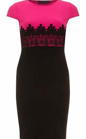 Womens Petals Cerise Black Contrast Dress- Multi