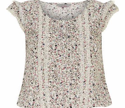 Dorothy Perkins Womens Petite ditsy lace bubble- Multi DP79243992