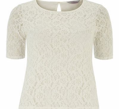 Dorothy Perkins Womens Petite ivory lace sleeve tee- White