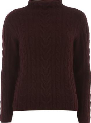 Dorothy Perkins, 1134[^]262015000705683 Womens Petite purple cable jumper- Purple