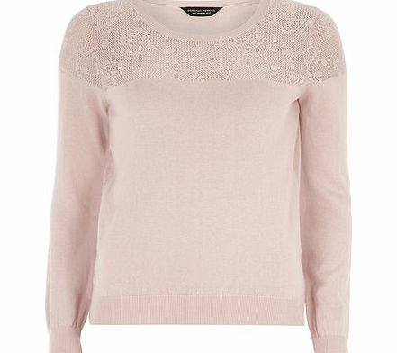 Womens Pink Rose Yoke Jumper- Pink DP55158311