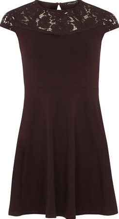 Dorothy Perkins, 1134[^]262015000707102 Womens Raisin Lace Front Dress- Purple DP56449572