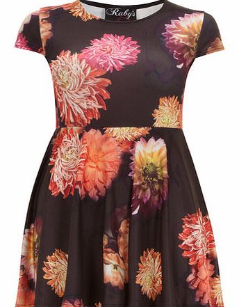 Womens Ruby Closet Black Floral Skater Dress-