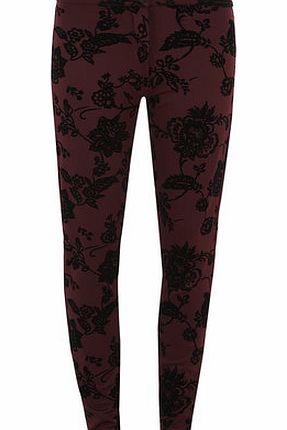 Dorothy Perkins Womens Wine Red Flocked Treggings- Red DP14564112