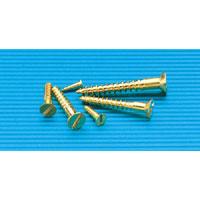 100 Brass Tra.S/Screw 2.1/2X12