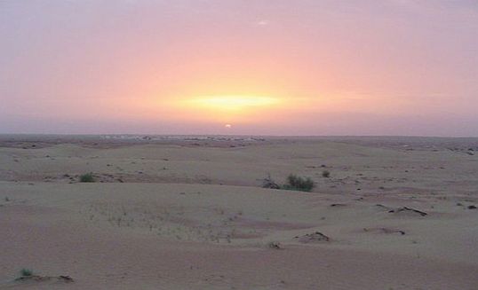 Dune Dinner Safari from Abu Dhabi