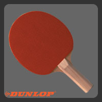 Pimpled Table Tennis Bat