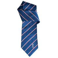 Official England Cricket Striped Silk Tie.