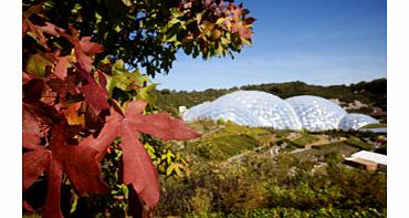 Eden Project Tickets