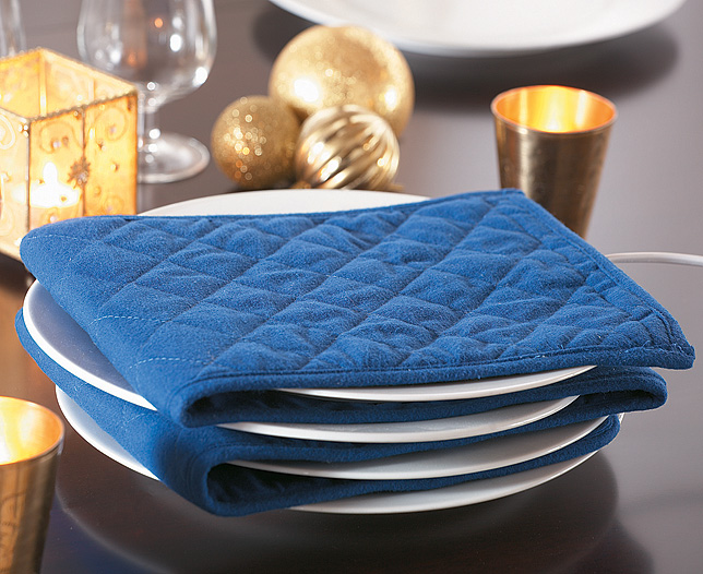 Plate Warmer - Blue