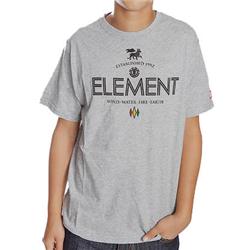 Boys Lion T-Shirt - Grey Heather