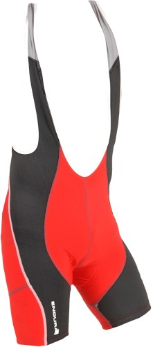 FS260-Pro Bibshorts 2009