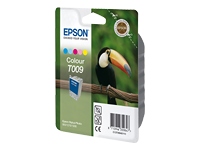 Epson  t009