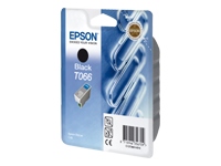 Epson T066