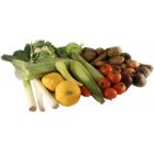 Large Organic Veg Box