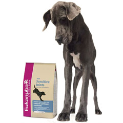 Daily Care Sensitive Joints 2.5Kg