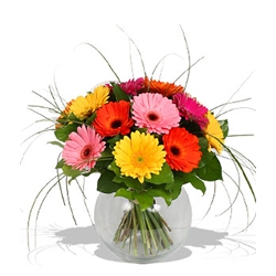 Euroffice Gerbera Bouquet