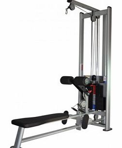 Lat Pulldown/Low Row