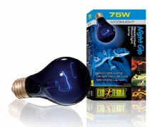 Terra Nightglo A19 Moonlight Lamp 75W