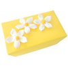 fair trade Selection in ``Sunshine Daisy`` Gift
