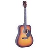 FG100 Sunburst