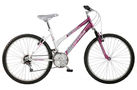 Falcon Solano 2008 Womenand#39;s Mountain Bike