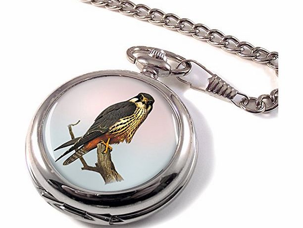 Family Crests Hobby Bird of Prey Full Hunter Pocket Watch