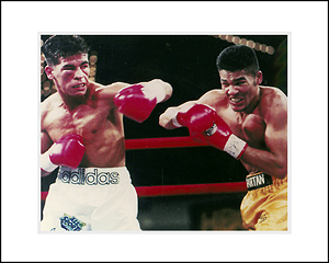 FamousRetail Gatti v Rodriguez unsigned 8x10 colour photo